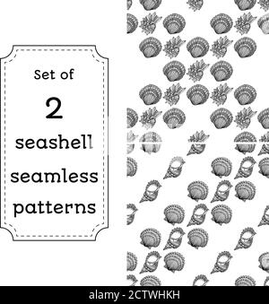 Set of geometric seamless pattern of seashells. Vector illustration in boho style. The design concept for the fabrics, paper, branding. Coloring book page for adult. Stock Vector