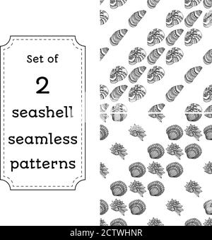Set of geometric seamless pattern of seashells. Vector illustration in boho style. The design concept for the fabrics, paper, branding. Coloring book page for adult. Stock Vector