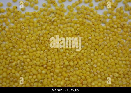 Very healthy and useful free-flowing groats, yellow millet scattered on a white matte background. Porridge from such cereals removes toxins. Stock Photo