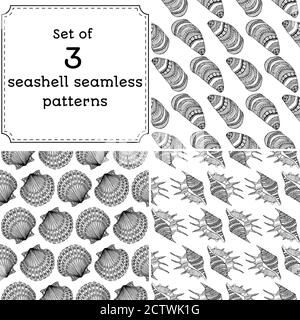 Set of geometric seamless pattern of seashells. Vector illustration in boho style. The design concept for the fabrics, paper, branding. Coloring book page for adult. Stock Vector