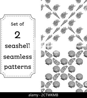 Set of geometric seamless pattern of seashells. Vector illustration in boho style. The design concept for the fabrics, paper, branding. Coloring book page for adult. Stock Vector