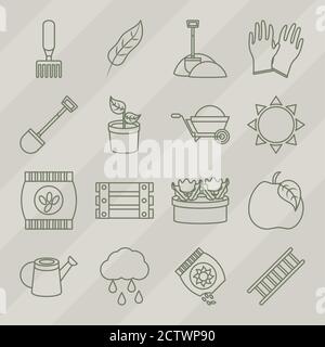 set of icons gardening cactus flower scissors leaf sunflower line icons style vector illustration Stock Vector