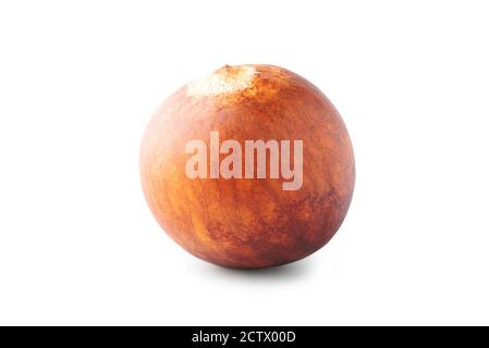 Hass avocado kernel isolated on white background. Clipping path Stock Photo