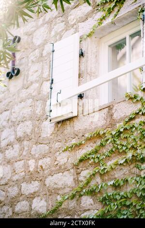 White plastic window with shutters on a stone wall with branches of bushes with leaves. Stock Photo