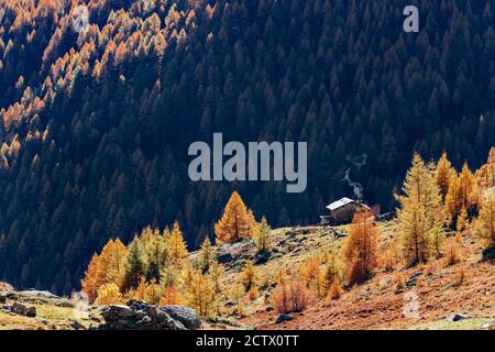 Val Grosina - Malghera - Valtellina (IT) - Autumn landscape Stock Photo