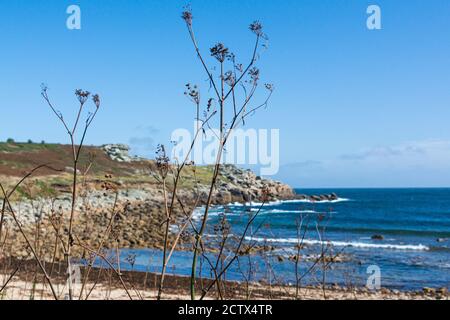 Porth Minick, St Mary's, Isles of Scilly Stock Photo