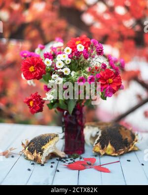 Bouquet of red and white autumn flowers in glass vase on wooden table Stock Photo