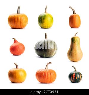 Set of different pumpkins isolated on white background. Image with largest resolution see in my portfolio Stock Photo