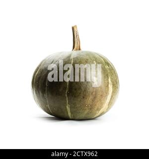 Green pumpkin on white background isolated. Food photography Stock Photo