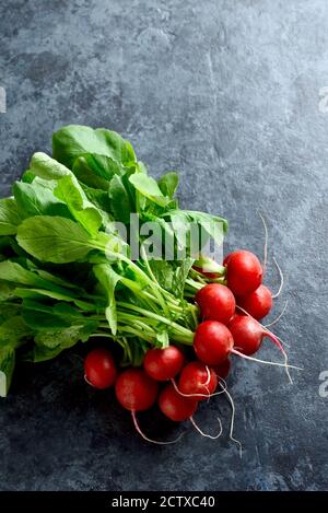 Radish bunch on blue stone background with free text space.