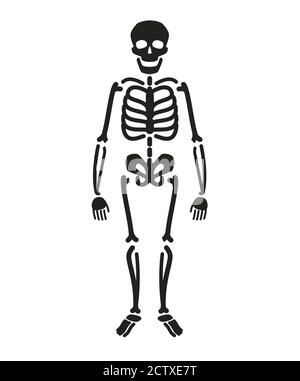 Full length skeleton silhouette. Halloween symbol vector Stock Vector