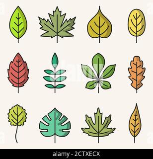 Vector illustration of colorful isolated leaves icons Stock Vector