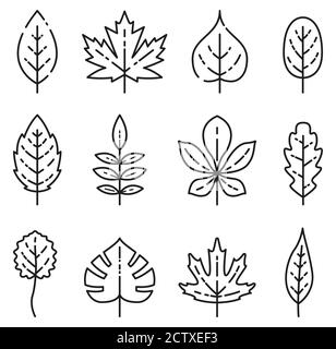 Vector illustration of outline isolated leaves icons Stock Vector