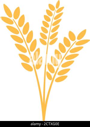 golden wheat ears icon or symbol isolated on white vector illustration Stock Vector