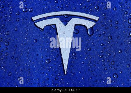 Tesla T badge logo decal or emblem on the hood / bonnet of a Model 3 in deep blue metallic, with rain, raindrops or dew. Stock Photo