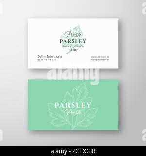 Fresh Parsley Abstract Vector Sign or Logo and Business Card Template. Green Parsley Branch with Leaves Sketch Illustration with Retro Typography Stock Vector