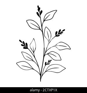 Simple black branch with berry and leaves. Hand drawn plant. Botanical vector floral element. Stock Vector