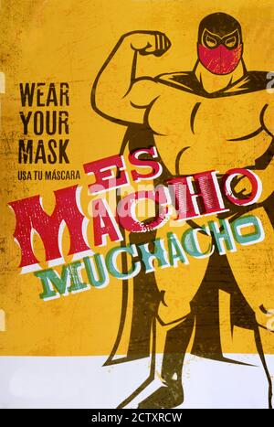 lucha libre mask poster