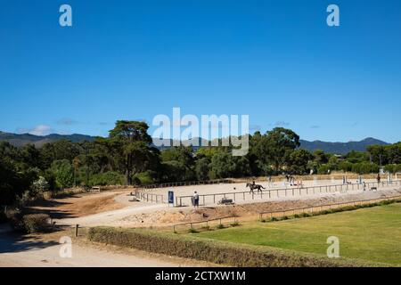 Horse Riding Centre in the original Quinta da Marinha resort located within the Sintra - Cascais UNESCO World Heritage Natural Park, in Portugal. Stock Photo