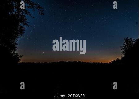 silhouette of grass in a field and trees in the forest just after sunset under a starry sky with stars Stock Photo