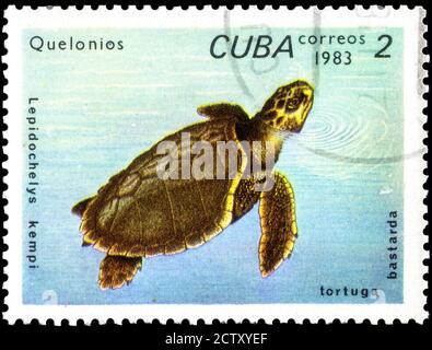 Saint Petersburg, Russia - September 18, 2020: Stamp printed in the Cuba the image of the Kemp Ridley Sea Turtle, Lepidochelys kempii, circa 1983 Stock Photo
