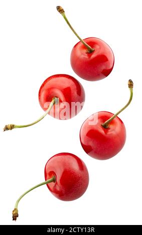 falling sweet cherries isolated on a white background. Stock Photo