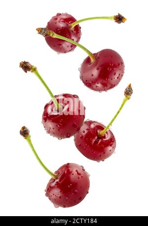 falling sweet cherries isolated on a white background. Stock Photo
