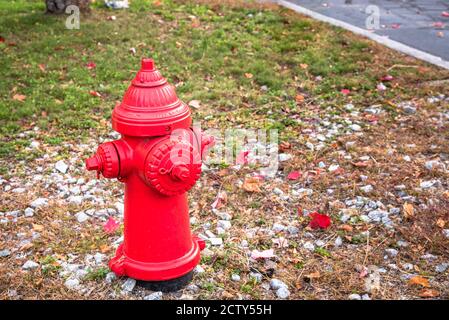 Close up of a traditional American fire hydrant on a fall morning Stock Photo