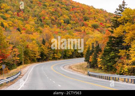Curve along a scenic mountain road running through a deciduous forest at the peak of autumn colours on a cloudy morning Stock Photo