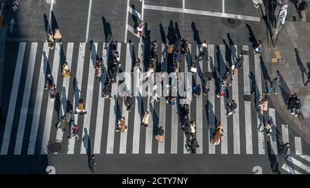 Aerial over crowd of japanese pedestrian crossing street with sunset light. Elevated view over asian people walking in busiest road intersection of To Stock Photo