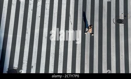 Elevated view over a japanese woman pedestrian crossing in road intersection with light of a sunset. Aerial view of asian people in a scramble crosswa Stock Photo
