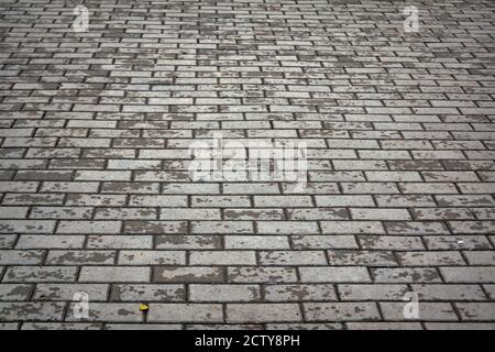 Abstract gray paving slab texture background. Close-up Stock Photo