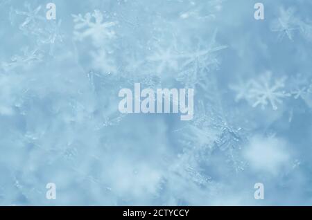 Defocused macro photography of snowflakes as a natural winter background in light blue. Shallow depth of field, close-up. Stock Photo