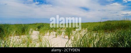 Sand dunes at Crane Beach, Ipswich, Essex County, Massachusetts, USA Stock Photo