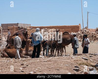 Camel Market in Guelmim, in southern Morocco. Stock Photo