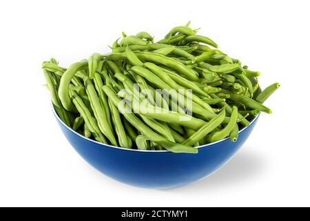 Perspective view of many green beans in a kitchen bowl. Blue plastic mixing container with raw green beans spilling over the edge. Fresh picked. Stock Photo