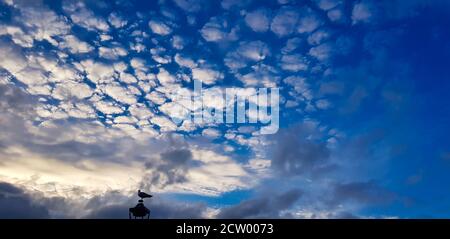 beautiful blue sky with white clouds. Cirrocumulus. And a dove on the top of a roof Stock Photo