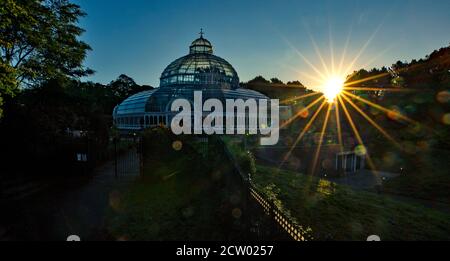 The sun rises behind the Sefton Park Palm House in Liverpool. Stock Photo