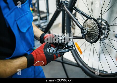 Bicycle repair workshop, man sets the speed switc Stock Photo