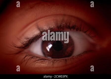 Close-up photograph of the human eye Stock Photo