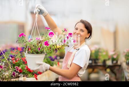 Business shop plant nursery, woman gardener caring for flowers in greenhouse Stock Photo