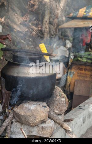 ELLA, SRI LANKA - AUGUST 27: Cooking and selling corn on the street in Sri Lanka. Street food cooking and selling is very popular among locals Stock Photo