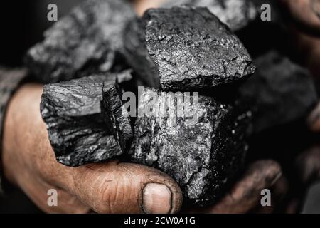 Closeup Miner holds coal palm. Concept mining, Top view Stock Photo