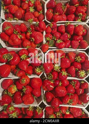 Strawberries in cardboard bowls for sale. Stock Photo