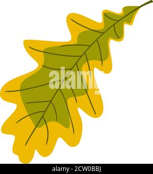 Colorful autumn oak leaf Stock Vector