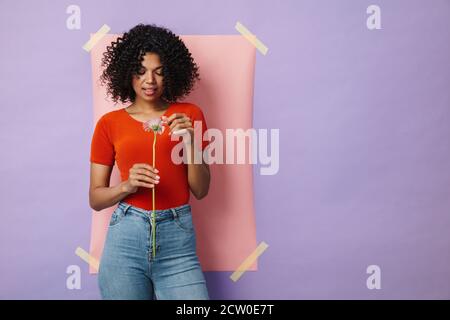 Image of young african american woman posing with flower isolated over multicolored background Stock Photo