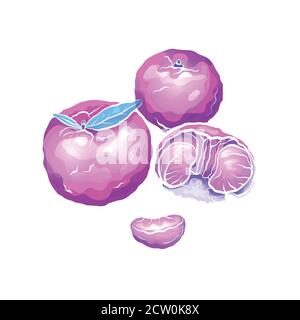 Neon cartoon illustrations of exotic mandarin and citrus The object is separate from the background. Illustration for printing on T-shirts, covers, me Stock Vector