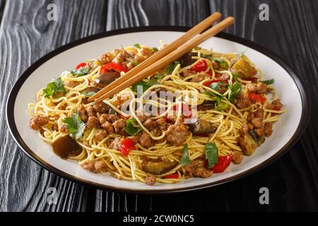 Egg noodles with fried eggplant and minced pork close-up in a plate on the table. horizontal Stock Photo