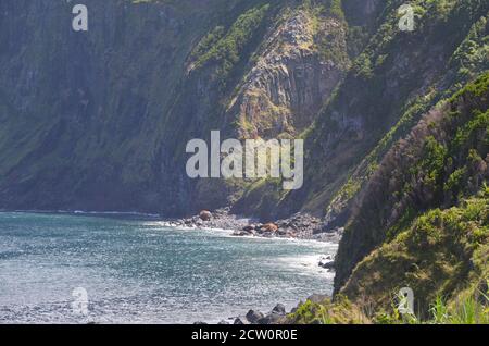 steep sea cliffs in the Fajãs de São Jorge Biosphere Reserve, Sao Jorge island, Azores archipelago Stock Photo