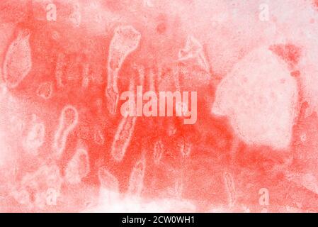 red color watercolor painted background texture Stock Photo